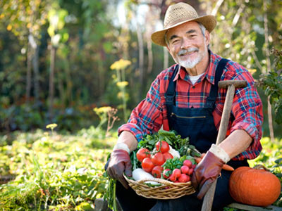 КФХ не дали зарегистрировать участок из-за неопределенных границ