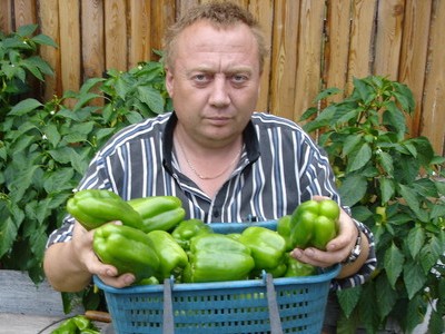 Дом вместо дачи: что изменит новый закон о садовых товариществах  