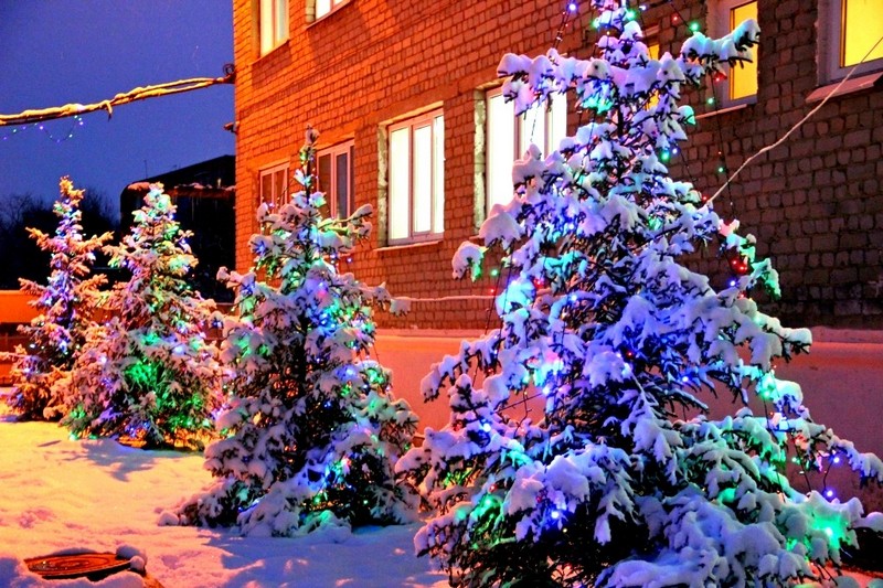 В Балашовском доме-интернате подвели итоги смотра-конкурса на лучшее украшение отделений и структурных подразделений к празднованию Нового 2018 года