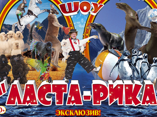 В Саратовском цирке стартует  «ЦИРК ДИНАСТИИ МАЙХРОВСКИХ» с ШОУ «ЛАСТА-РИКА»