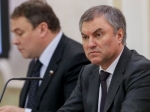Володин решил «обкатывать» новые законопроекты при помощи соцопросов