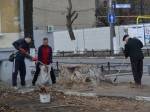 В центре Саратова зелени в сто раз меньше требований гигиенических норм РФ