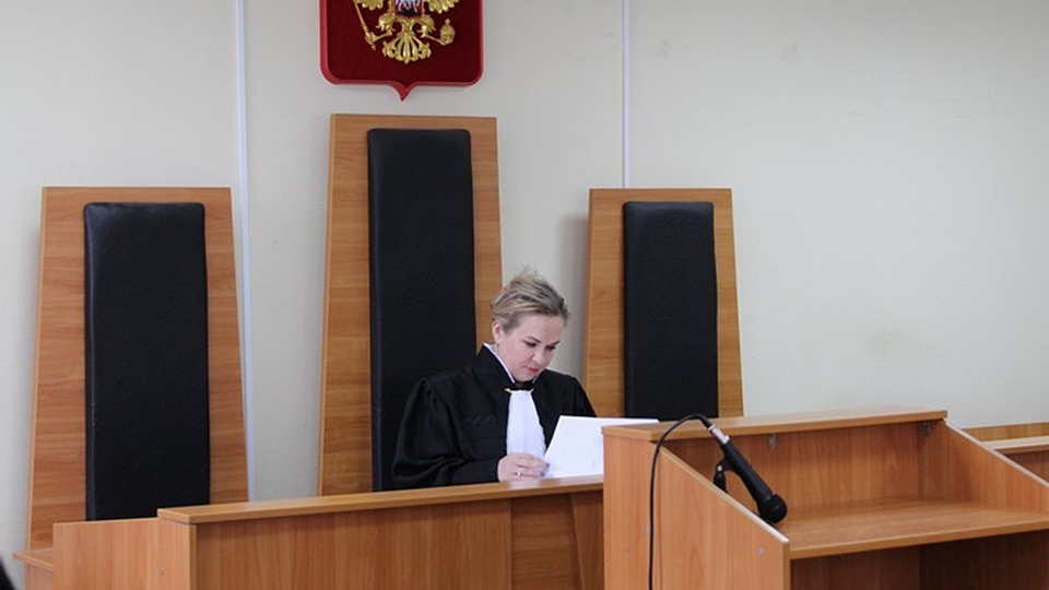 Судья Юлия Ефимкина ушла в отставку