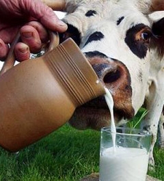 Базарнокарабулакский молочный завод  