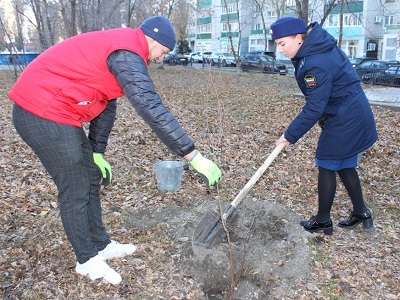 Аллею деревьев высадили в саратовском сквере Железнодорожников