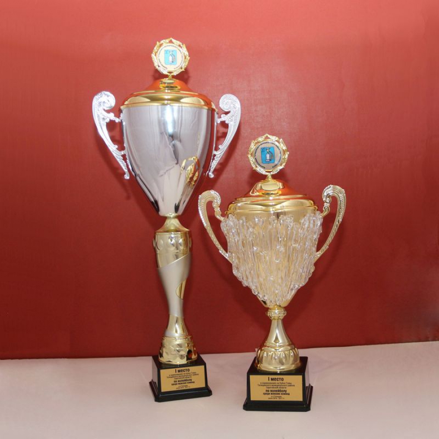 В Татищево пройдут соревнования на Кубок главы района по воллейболу