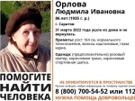 «Ушла в домашнем, а ночью было около нуля»: волонтеры «Лиза Алерт» рассказали, как искали 86-летнюю женщину, которая не ориентировалась в пространстве