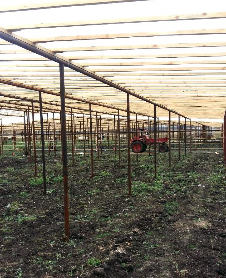 На территории Татищевского района завершается строительство круглогодичных теплиц