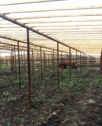 На территории Татищевского района завершается строительство круглогодичных теплиц