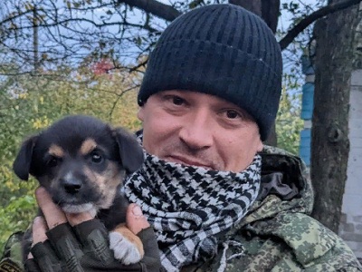 Саратовские участники СВО нашли на фронте оставленных кошек и собак