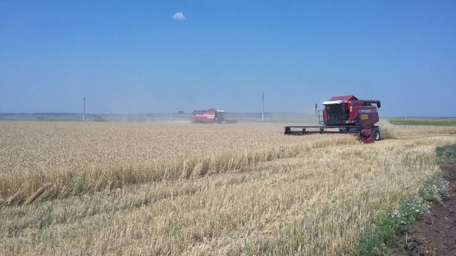 В Татищевском районе собрали урожай с 74,95 тыс. га.