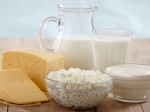 Саратовская МВЛ о фальсификации молочной продукции