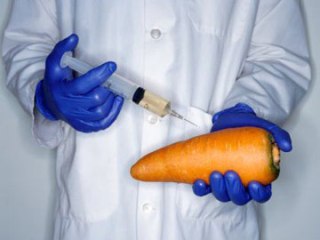 Генетически модифицированный организм в продуктах питания не выявлен
