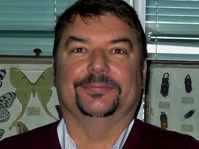 Учёный рассказал, что происходит с каштанами и ясенями в Саратове, а также о возможной угрозе для дубов