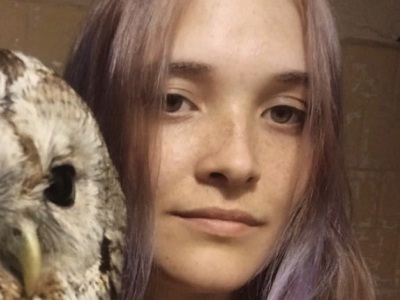 Найденных зимой летучих мышей просят не выбрасывать на мороз