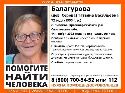 Саратовские спасатели и волонтеры ищут пропавшую в лесу женщину
