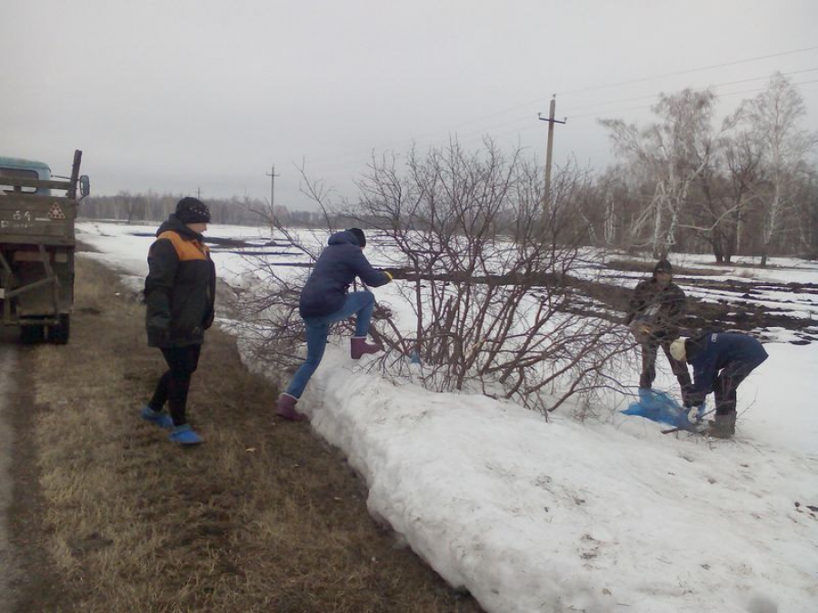 В Татищевском МО провели субботники