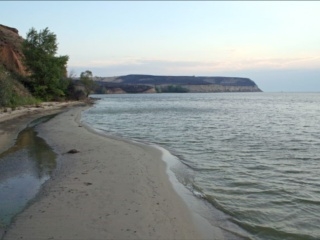 Река Волга зарастает илом и камышом