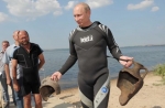 Конфуз с амфорами