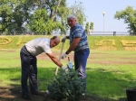 Энгельсские депутаты высадили в парке саженцы голубых елей