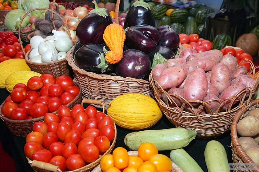 С 1 октября в Татищевском районе будут организованы традиционные ярмарки «Дары осени»