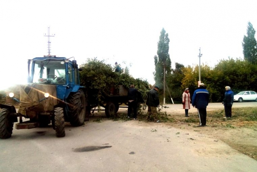 В Октябрьском МО провели опиловку сухих деревьев и субботник