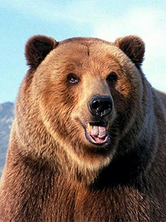 Магазин Скрепка  