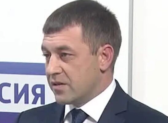 В Саратовской области за год хотят отловить более 10 тысяч бродячих собак