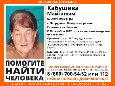 В саратовском селе пропала высокая пенсионерка в коричневом плаще
