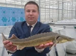 Саратовцев приглашают на субботние ярмарки