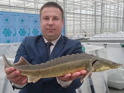 На Театральной площади будут продавать яйца и саратовское печенье