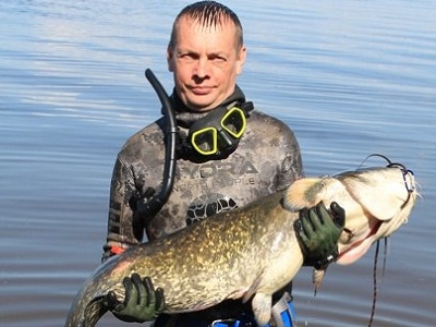 Саратовский подводный охотник добыл сома почти в рост человека