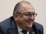 Мэр Молчанов рассказал, как с задымлением в Елшанке борются с помощью матов