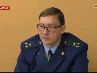 Балашовская прокуратура проверила законность вырубки деревьев в городе