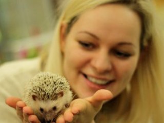 Звери из контактных зоопарков Саратовской области стали чаще нападать на людей