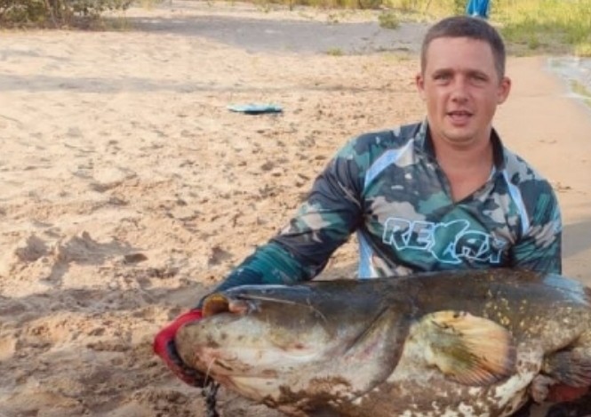 Саратовский рыбак поймал возле пляжа гигантского сома
