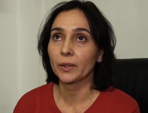 Масштабный снос деревьев в Саратове: стало известно, кто пилит больше всех и получил самый большой доход за это