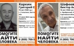 В Саратовской области нашли живыми двух пропавших пенсионеров