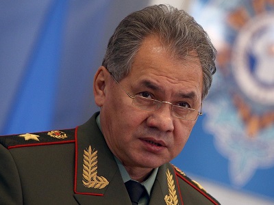 Минобороны собирается законодательно закрепить за собой право рубить лес без разрешений