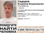 Волонтеры ищут 19-летнего саратовца с русыми волосами