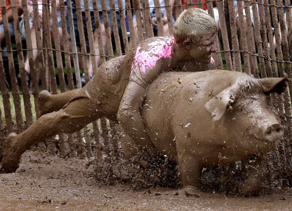 Свин в офшоре: крупнейший саратовский свинокомплекс купила компания с кипрскими корнями