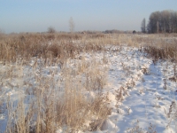 Снижение плодородия не произошло