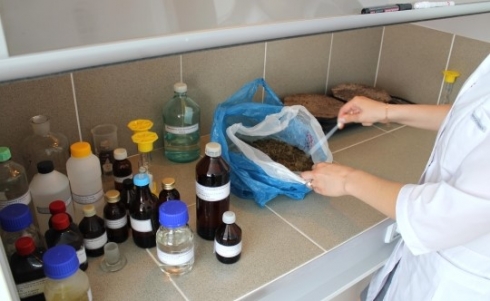 На землях сельхозназначения в Саратовском районе нитратный азот в почве не обнаружен