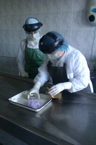 В рамках эпизоотологического мониторинга получено 3 положительных результата на бешенство