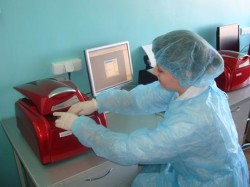 Обстановка по АЧС продолжает осложняться — получены положительные результаты исследований патологического материала из Аркадакского района