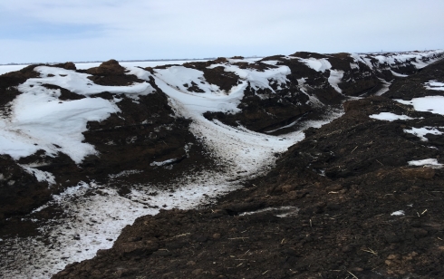Саратовская МВЛ: На землях сельскохозяйственного назначения обнаружено нарушение земельного законодательства РФ