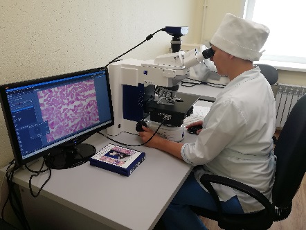 Саратовской МВЛ выполнены гистологические исследования в рамках Государственного Задания