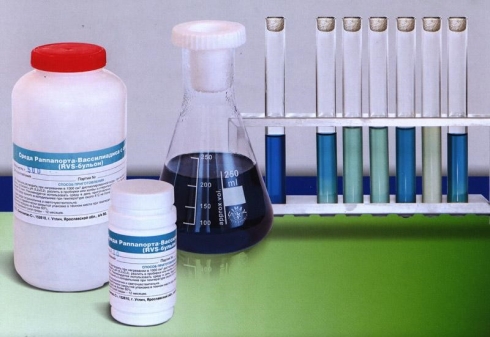 Питательные среды являются основой для работы в отделе бактериологии, паразитологии и микологии