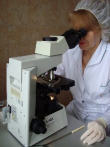 Выявлены специфические антитела к лептоспирозу