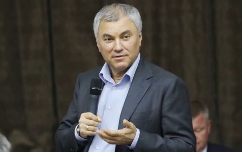 Володин – губернатору: обращайтесь в прокуратуру по поводу законности линии электропередач в сквере Балакова